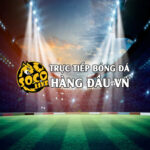 Profile photo of coibongdasocolive