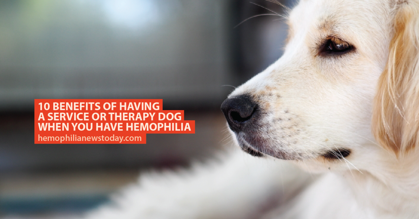 Therapy Dog When You Have Hemophilia 