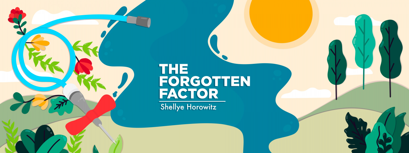 The Forgotten Factor