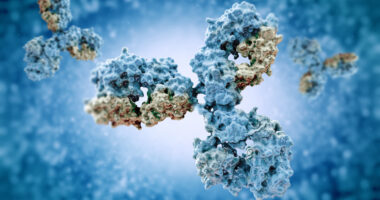 FVIII inhibitors