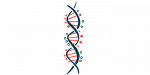 hemophilia b gene therapy | Hemophilia News Today | DNA illustration