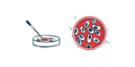 A dropper is shown next to a petri dish.