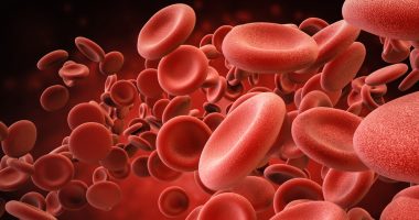bleeding disorder diagnoses | Hemophilia News Today | A stock photo of red blood cells traveling through an artery.