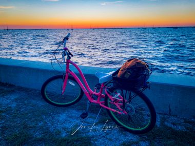 hemophilia and weight | Hemophilia News Today | A bicycle with a bright pink frame and a backpack in the basket is parked on a sidewalk next to the ocean at sunset.