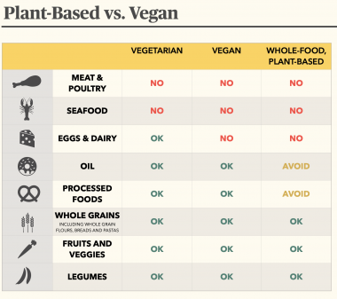 plant-based diet | Hemophilia News Today | A chart shows the differences between a plant-based diet, a vegetarian diet, and a vegan diet