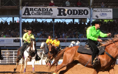 hemophilia and AIDS | Hemophilia News Today | Riders are seen on horses at the 2017 rodeo in Arcadia, Florida.