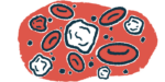 An illustration of white blood cells, part of the immune system.