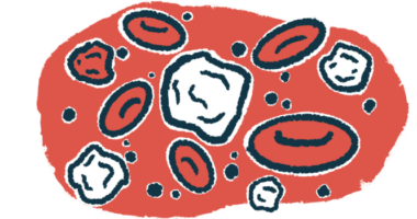 An illustration of white blood cells, part of the immune system.