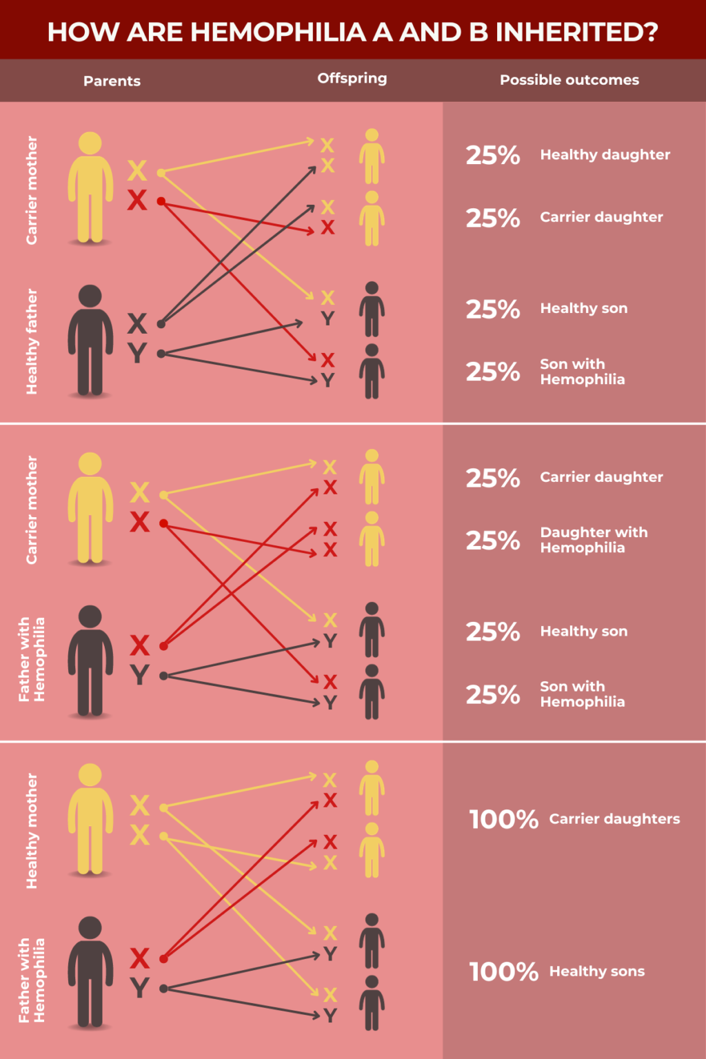 What Causes Hemophilia? | Hemophilia News Today