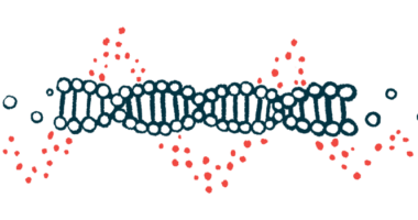 A strand of DNA is shown .
