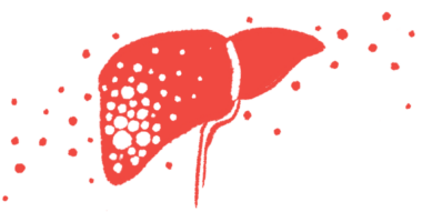 An illustration of the human liver.