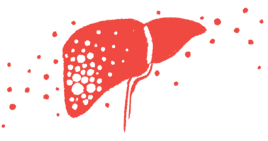 An illustration of the human liver.