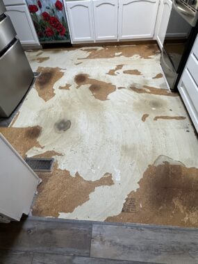 Photo of a kitchen floor with the floor tiling ripped up. Underneath is a floor riddled with dog urine stains. 