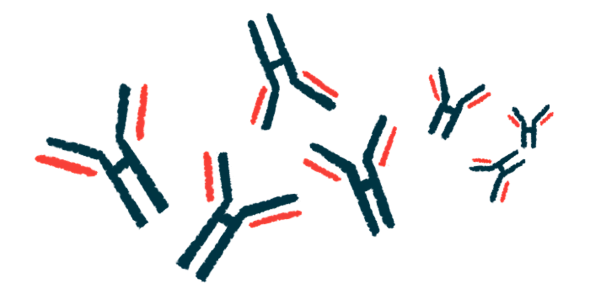 An illustration shows a group of antibodies.
