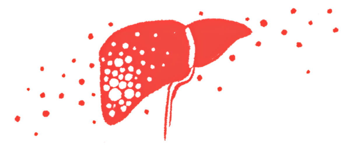 An illustration shows a human liver.